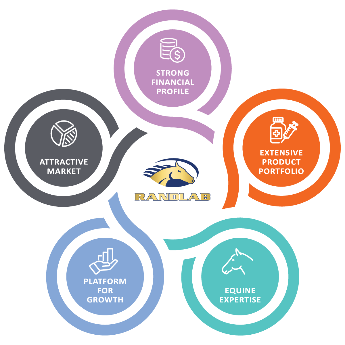 Randlab business strengths: strong financial profile, attractive market, extensive product portfolio, platform for growth and equine expertise.