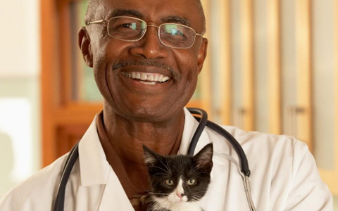 Market Thumbnail New